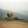 Alpe Monticchio